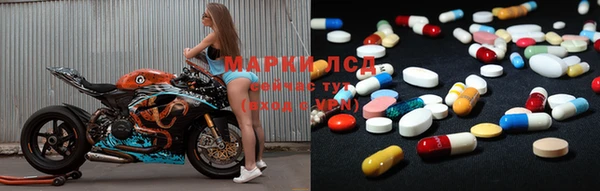 spice Алзамай