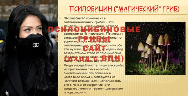 spice Алзамай