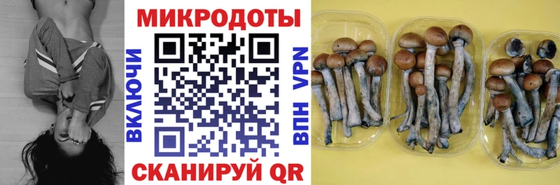 Псилоцибиновые грибы мицелий  Амурск 